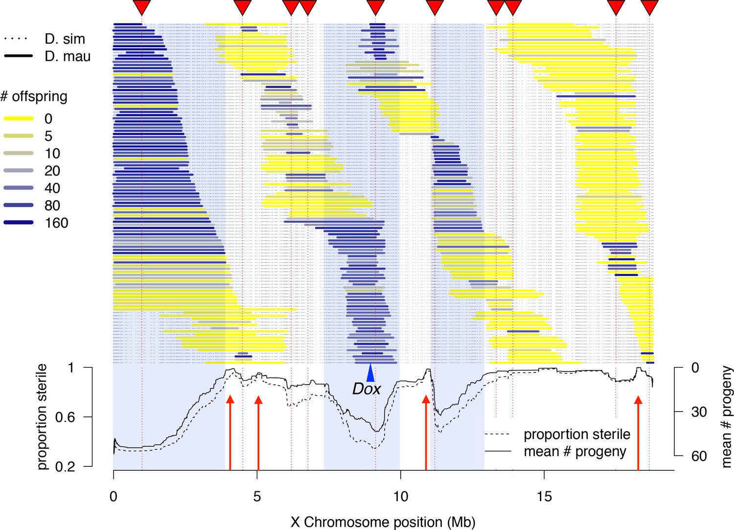 Figures And Data In Gene Flow Mediates The Role Of Sex Chromosome