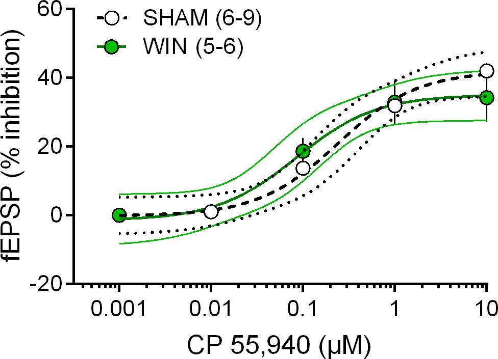 Figures And Data In Sex Dependent Effects Of In Utero Cannabinoid