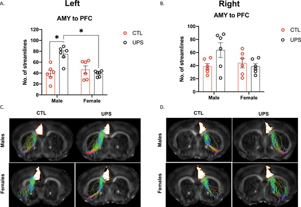 Figures And Data In Early Life Stress Causes Sex Specific Changes In