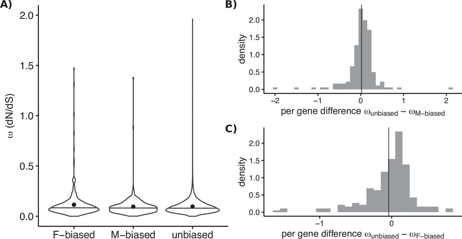 Figures And Data In High Rates Of Evolution Preceded Shifts To Sex