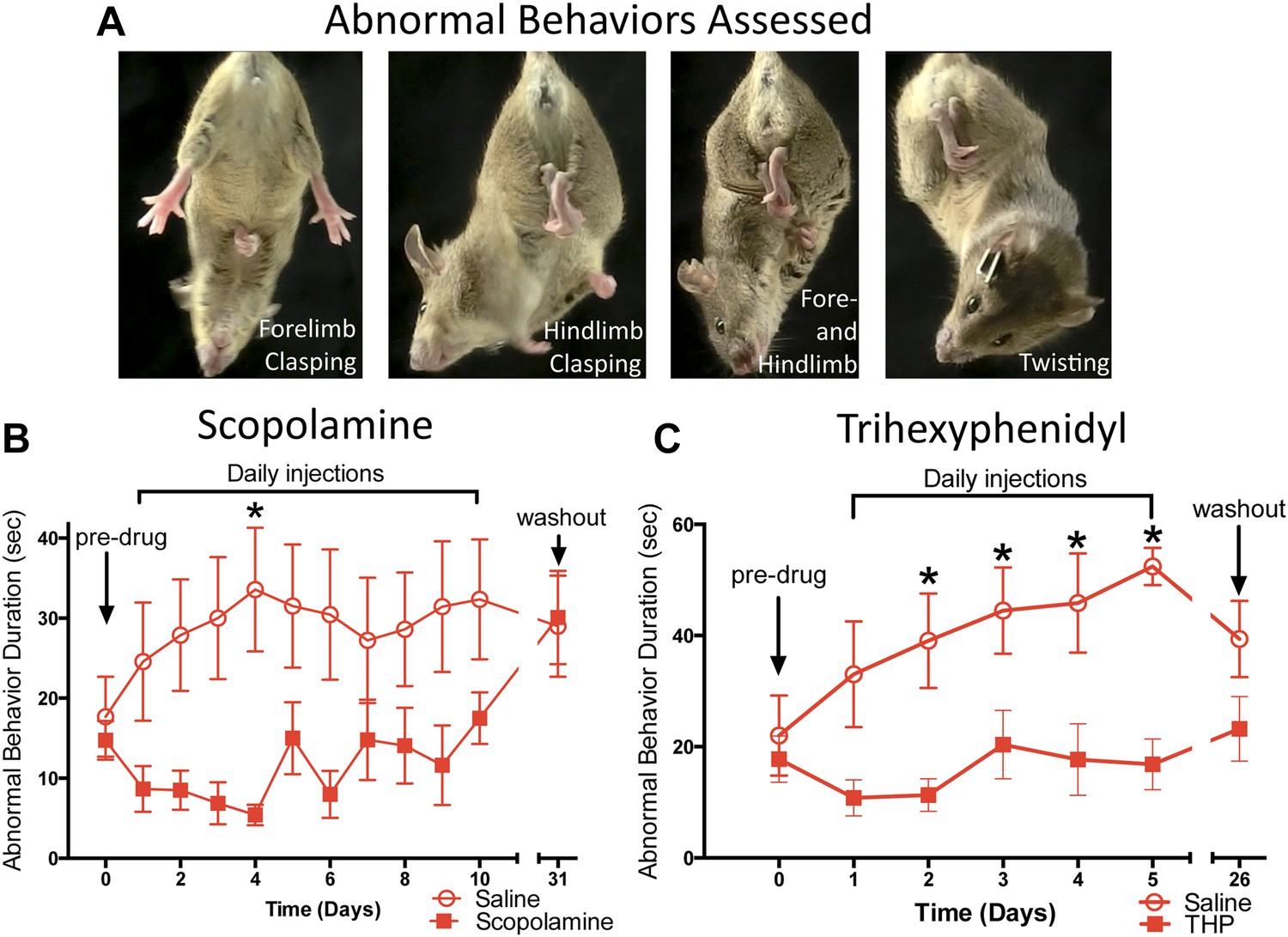 forebrain deletion of the dystonia protein torsina causes