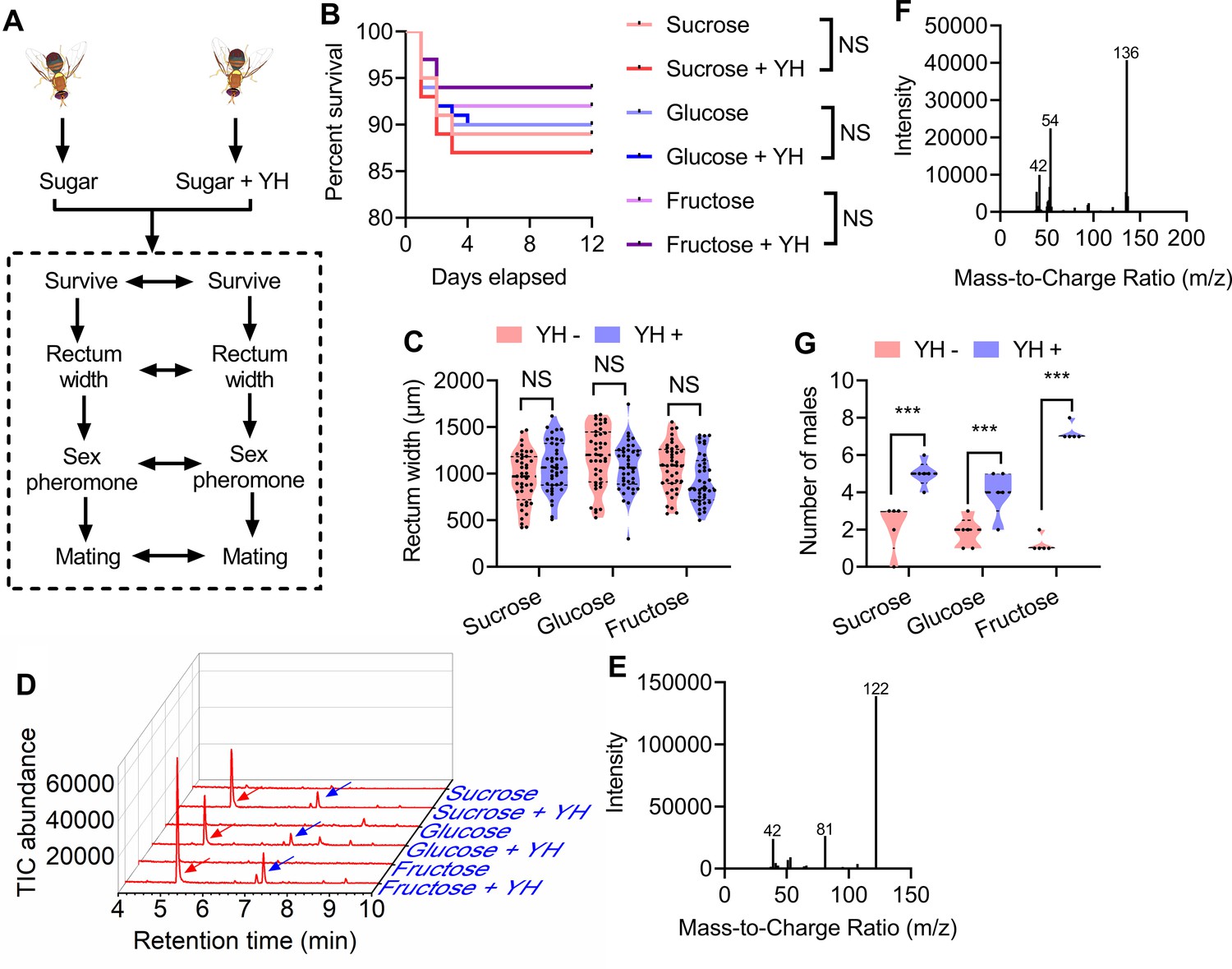 Protein Feeding Mediates Sex Pheromone Biosynthesis In An Insect Elife