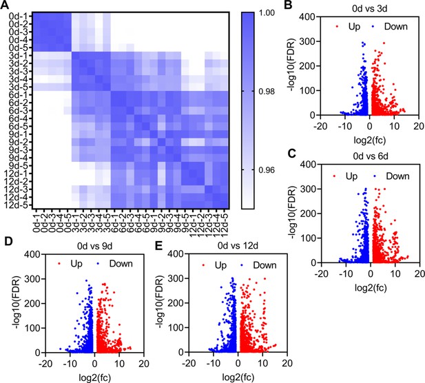 Figures And Data In Protein Feeding Mediates Sex Pheromone Biosynthesis