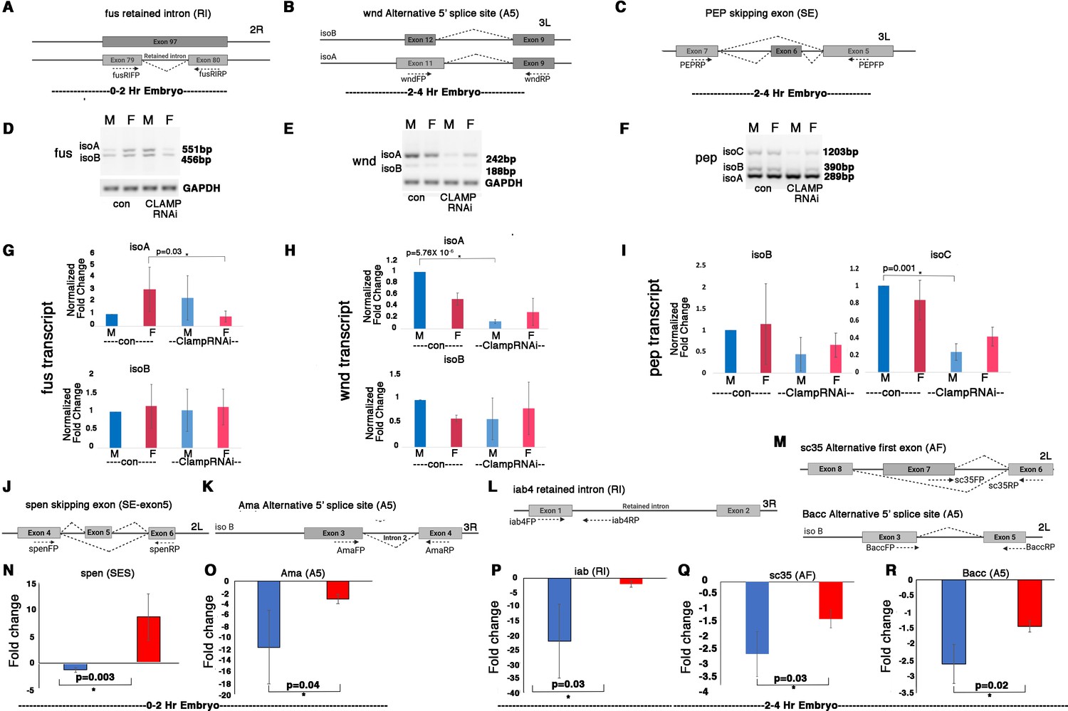 Figures And Data In Sex Specific Splicing Occurs Genome Wide During