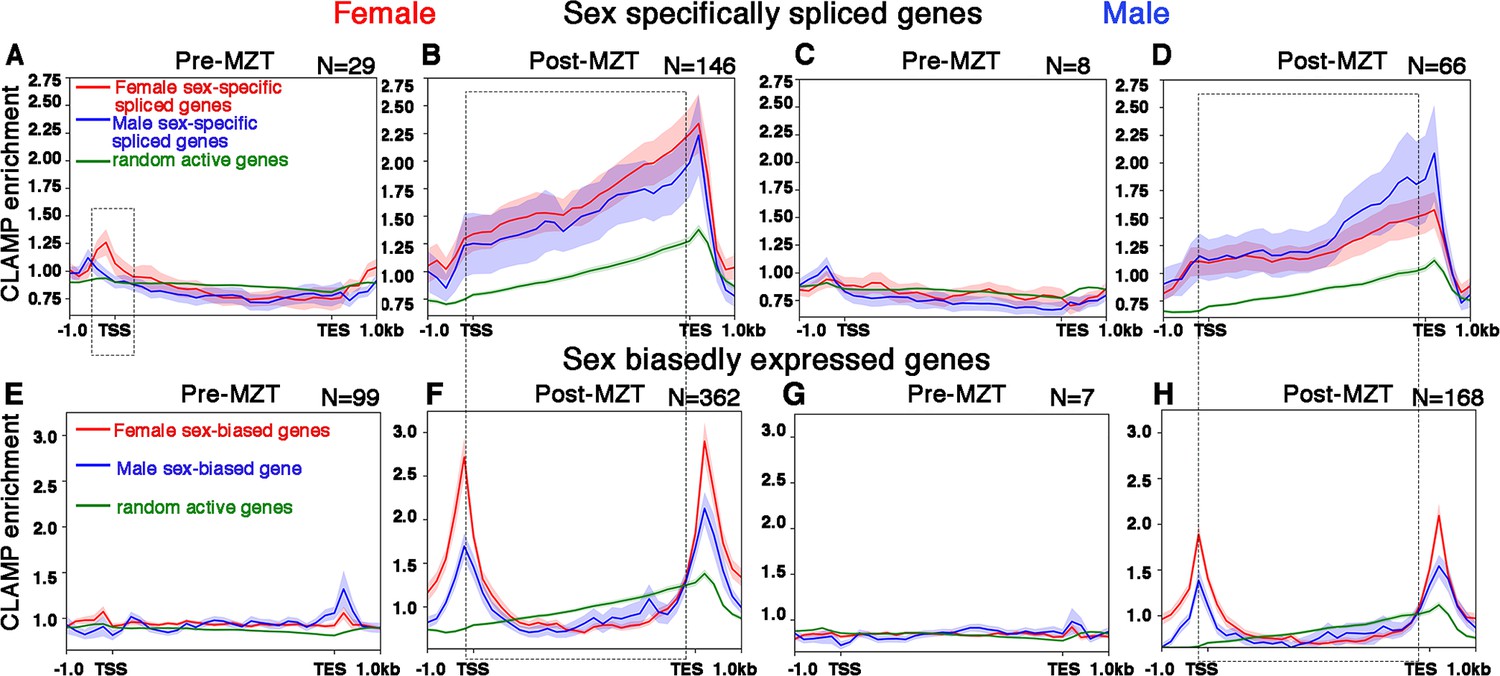 Sex Specific Splicing Occurs Genome Wide During Early Drosophila