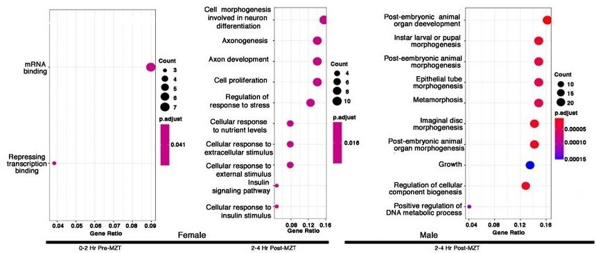 Figures And Data In Sex Specific Splicing Occurs Genome Wide During