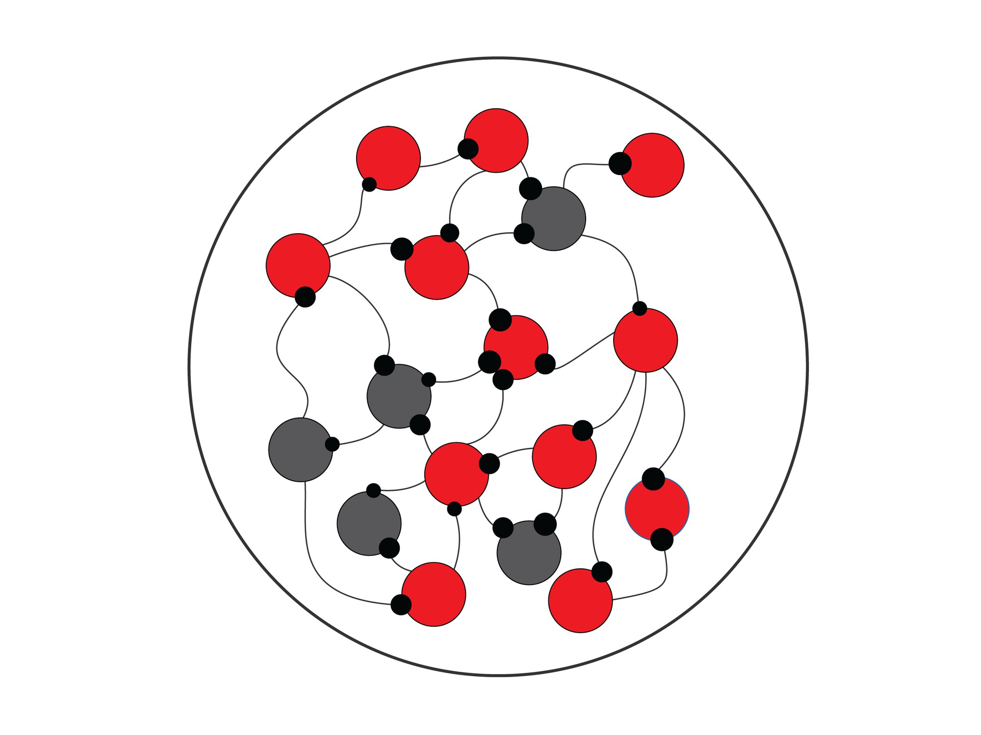 The Brain’s Hidden Code | ELife Science Digests | ELife