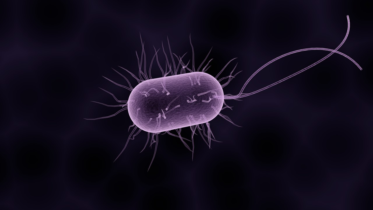 Propelling bacteria | eLife Science Digests | eLife