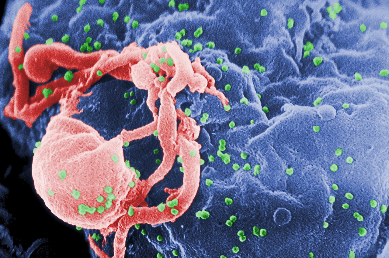 Cutting up viruses eLife Science Digests eLife