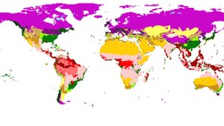 eLife Science Digests, page 3 | eLife