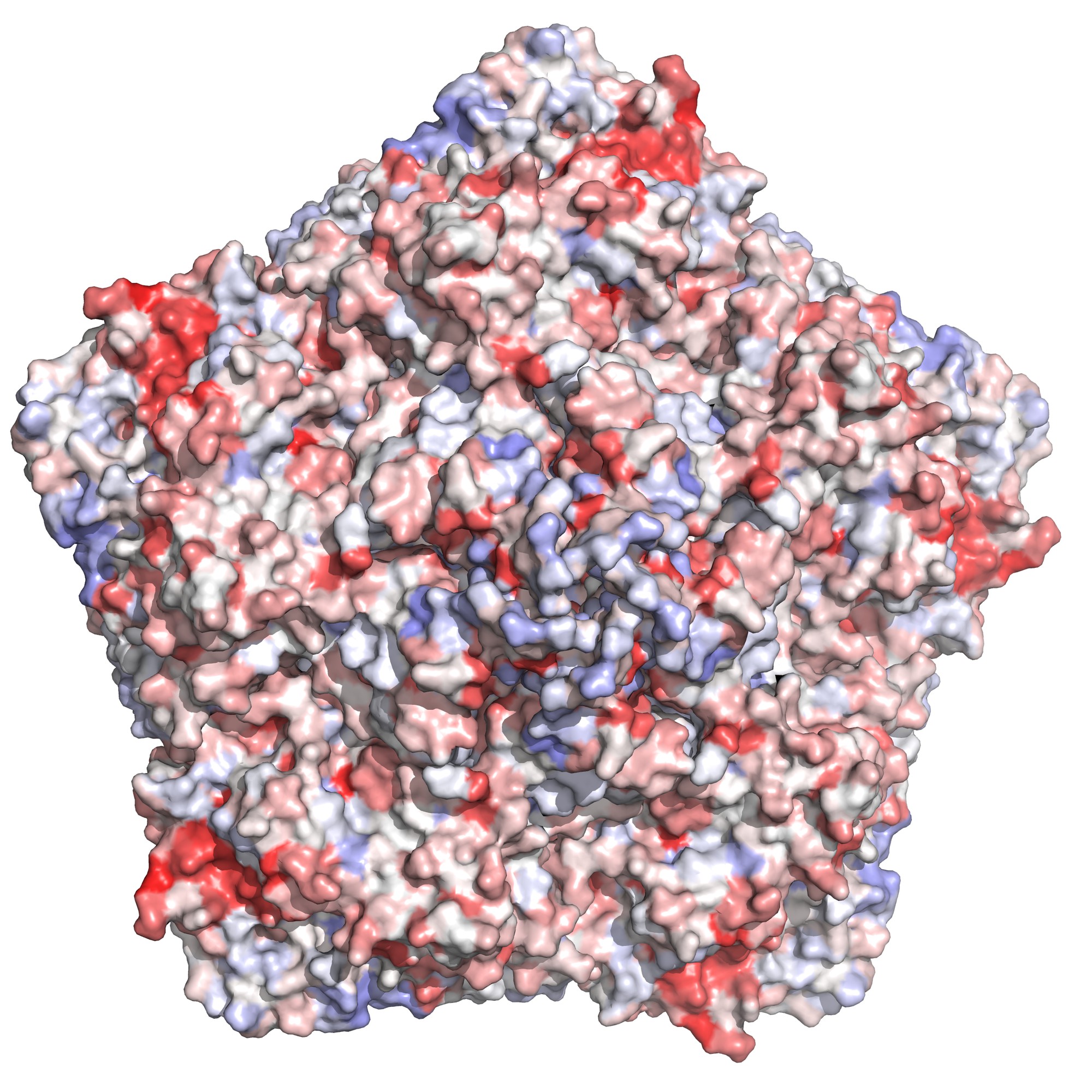 Changing The Viral Coat ELife Science Digests ELife