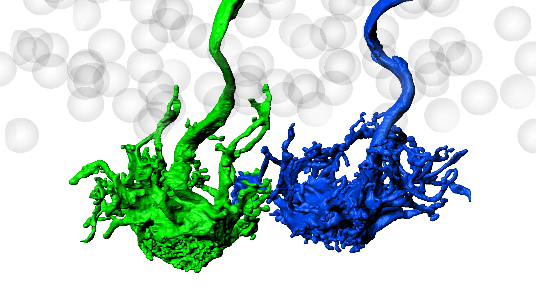 mind-the-gap-junction-elife-science-digests-elife