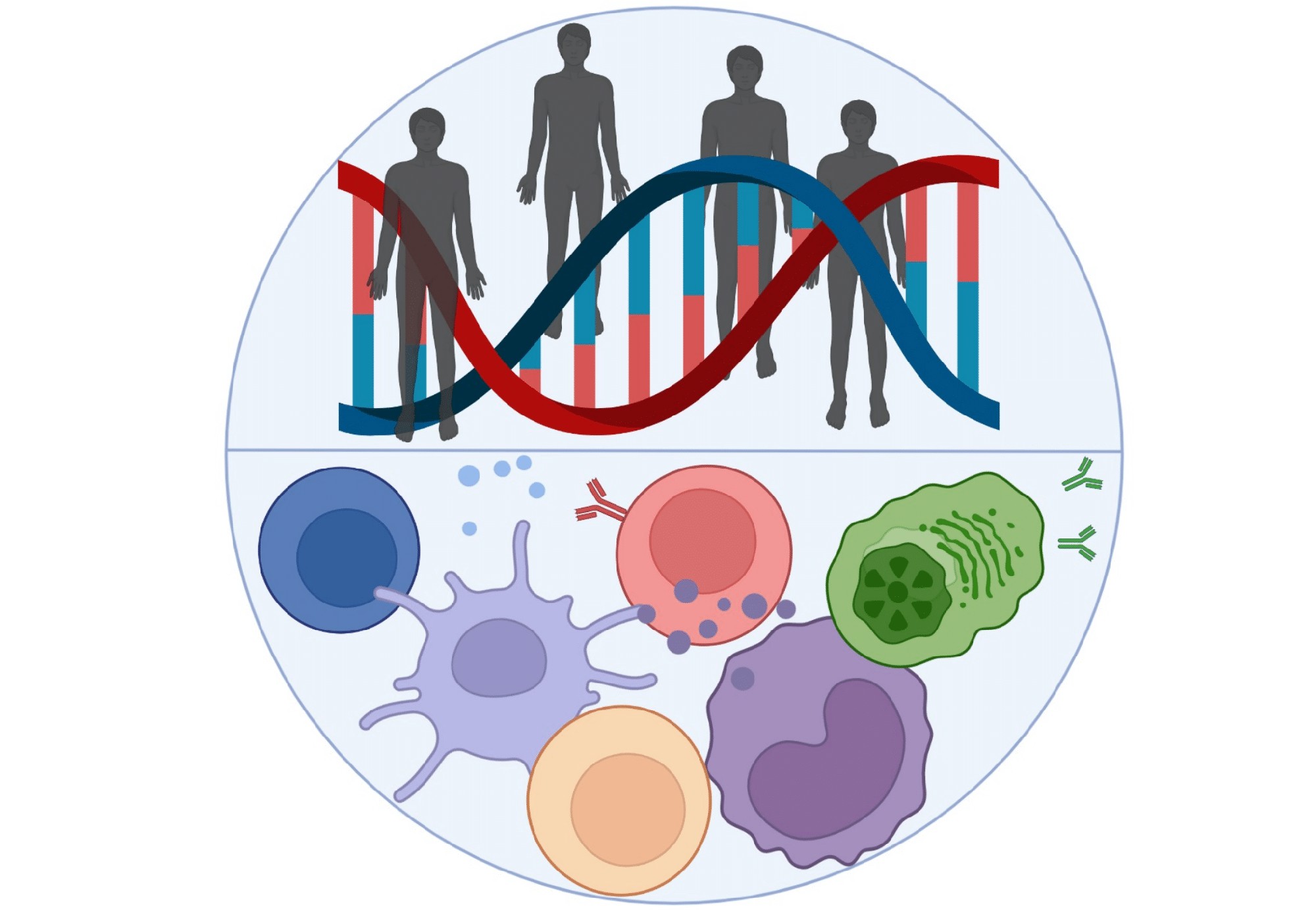 the-genes-behind-type-1-diabetes-elife-science-digests-elife