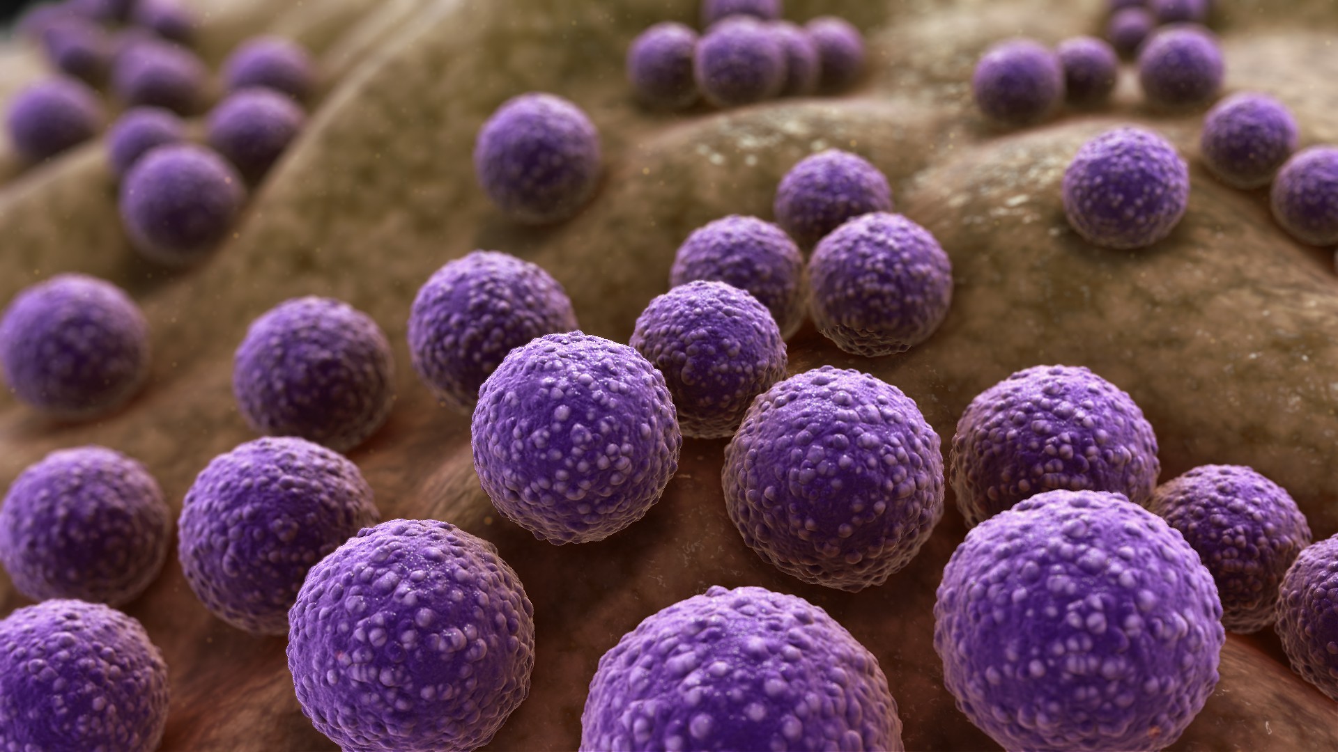 Adapting to life inside eLife Science Digests eLife