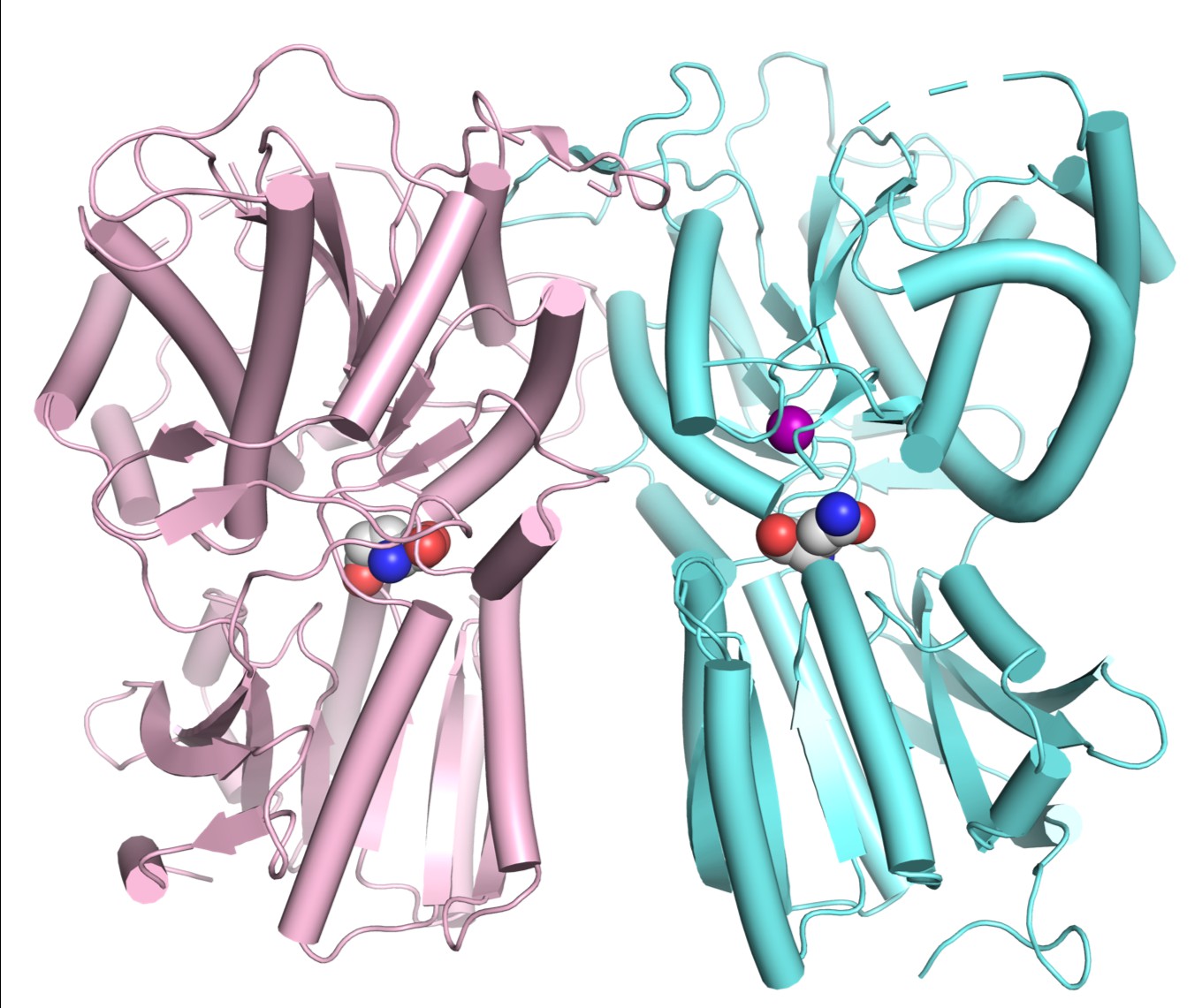 Salty And Sweet ELife Science Digests ELife salty-and-sweet-elife-science-digests-elife