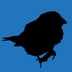 Silhouette of a zebra finch on a blue background.