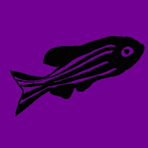 The Natural History of Model Organisms: Advancing biology through a