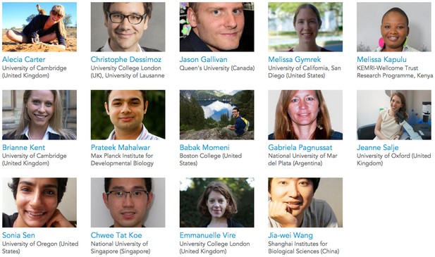 The eLife Early-Career Advisory Group