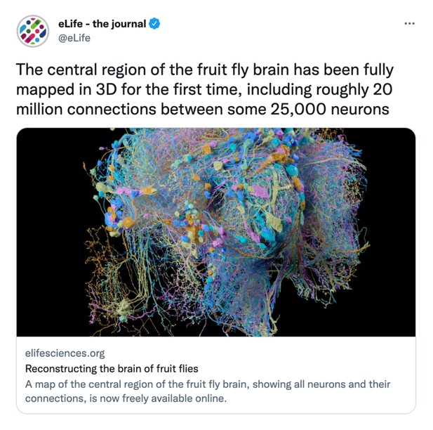 A post on X (formerly Twitter) by eLife that uses the impressive number of connections and neurons mapped by a study as a hook and features a colourful image of a fruit fly connectome.