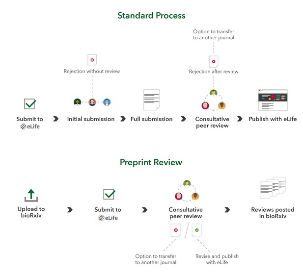 Preprint Review: A guide for authors | Inside eLife | eLife