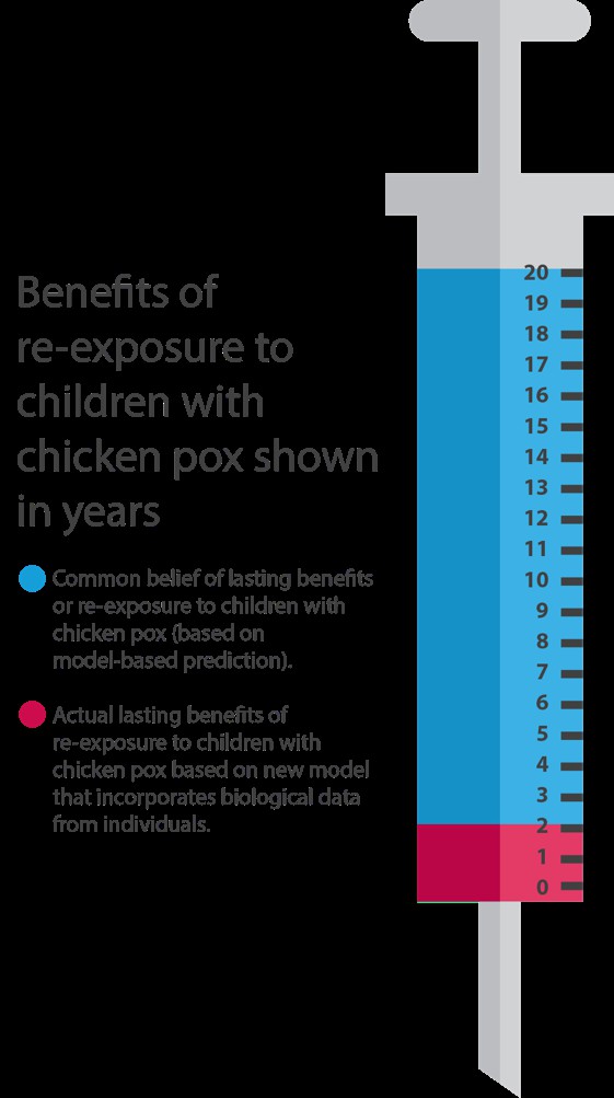 Chickenpox vaccination does increase shingles cases, but mainly in