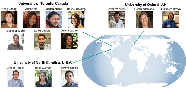 Photographs of some of the researchers taking part in the open notebook project. Heng Zhang, Jolene Ho, Megha Abbey, Rachel Harding, Mandeep Mann, David Dilworth and Genna Luciani are based at the University of Toronto, Canada; Alfredo Picado, Carla Alamillo and Nirav Kapadia are based at theUniversity of North Carolina, USA; and Jong Fu Wong, Roslin Adamson and Elizabeth Brown are based at the University of Oxford, UK.