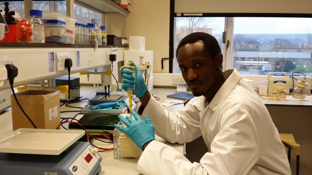 Mahmoud Bukar Maina pipetting in the lab