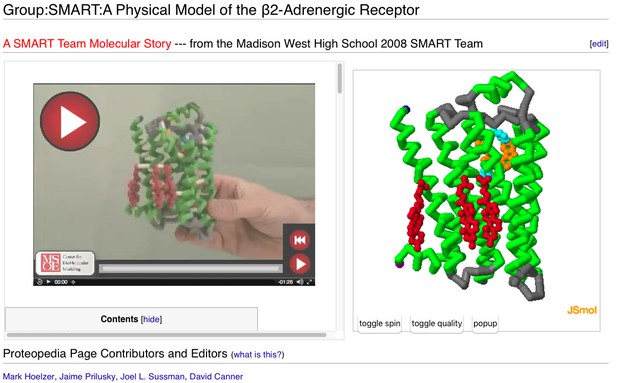 B2 Andrenergic Receptor