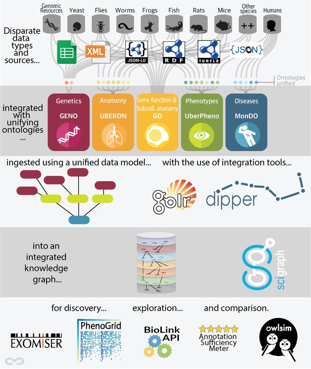 Architecture described from disparate data sources to tools for discovering the knowledge graph