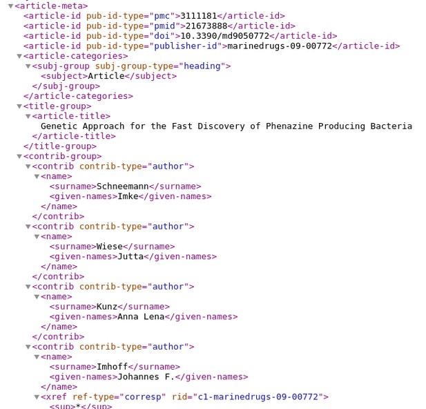 head of JATS XML output