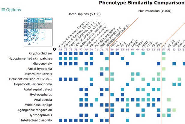 Phenotypes are plotted against diseases with matches indicated by coloured squares