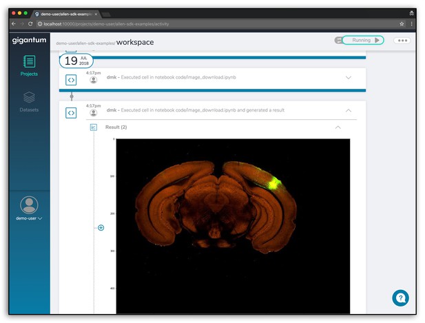 Screenshot of activity feed showing uploaded microscopy image