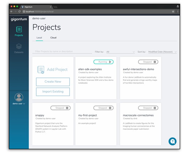 Screenshot of Projects interface in browser