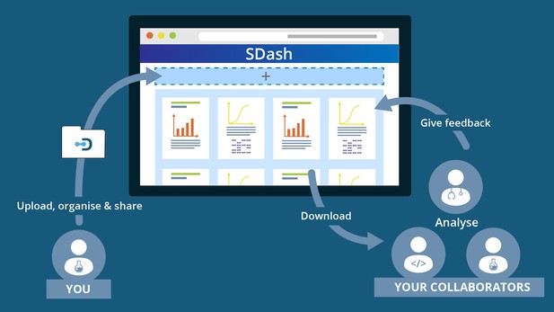 SDash workflow