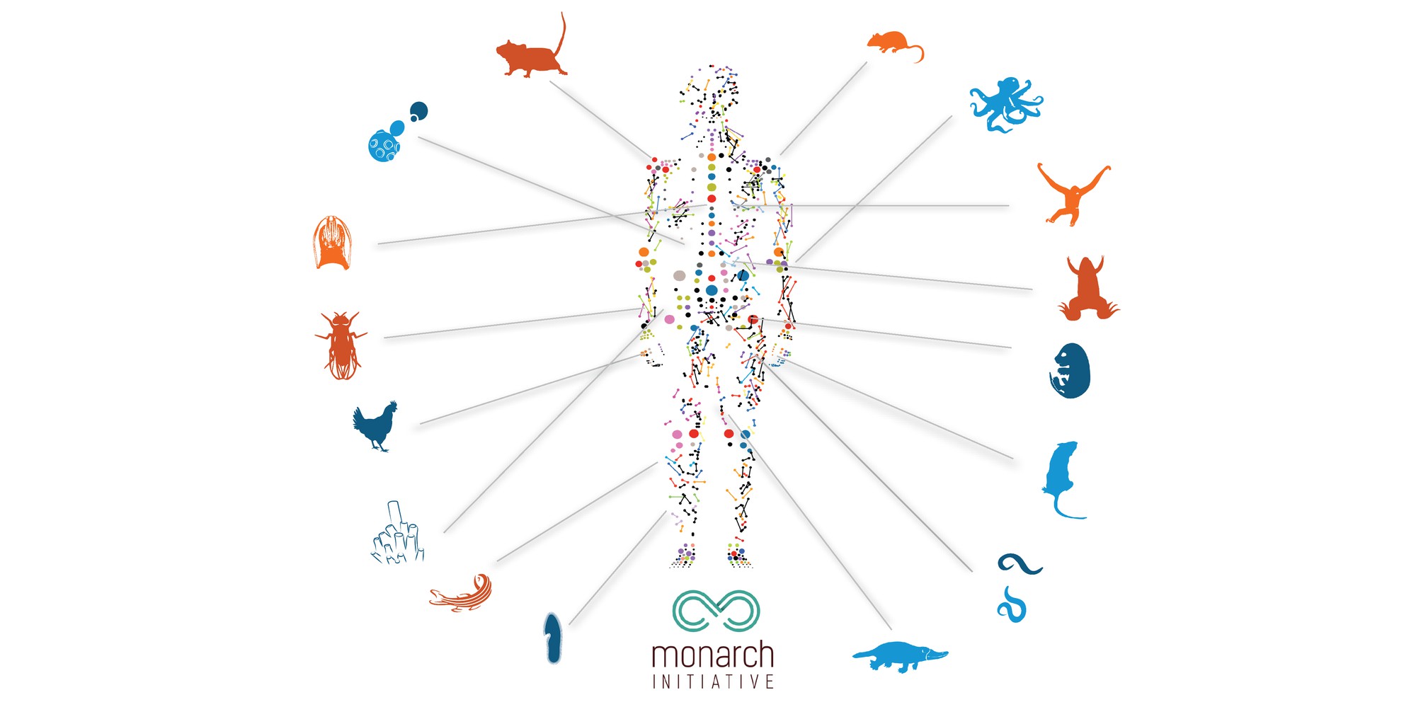 GitHub - monarch-initiative/mondo: Mondo Disease Ontology