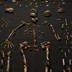 Meet <i>Homo naledi</i>