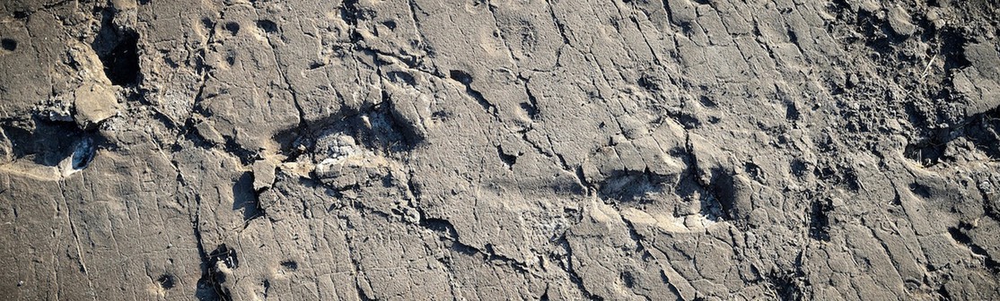 Footprints of the past