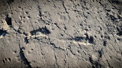 Footprints of the past