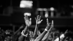 Group of raised hands 