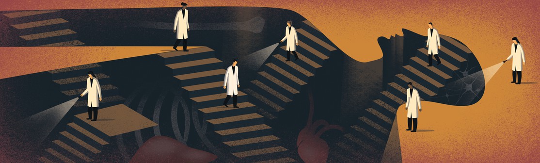 Human Biology and Medicine