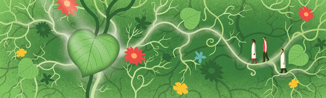 Plant Biology