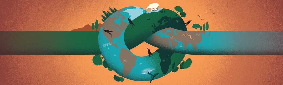 Ecology