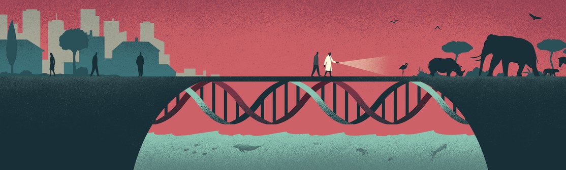 Genetics and Genomics