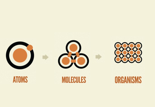 Pictorial diagram of atom (single dot) to molecules (three dots) to organisms (twelve dots)