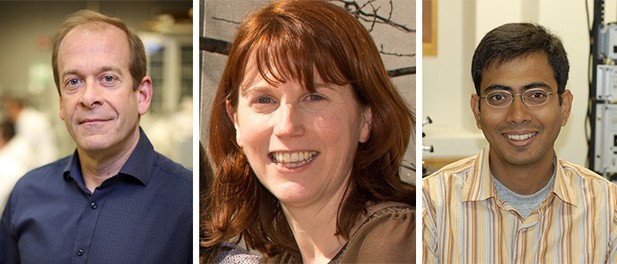 From left to right: Kenton Swartz, Lucy Forrest and Baron Chanda