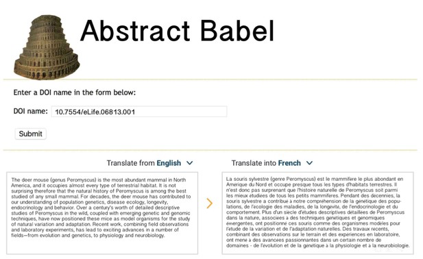 doi entry field with english text box on left and translation language text box on right