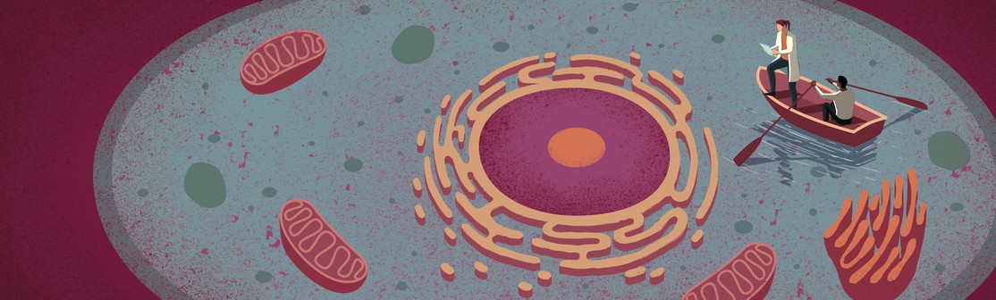 Cell Biology