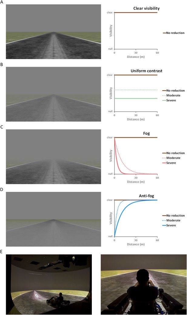 Figures and data in Foggy perception slows us down | eLife