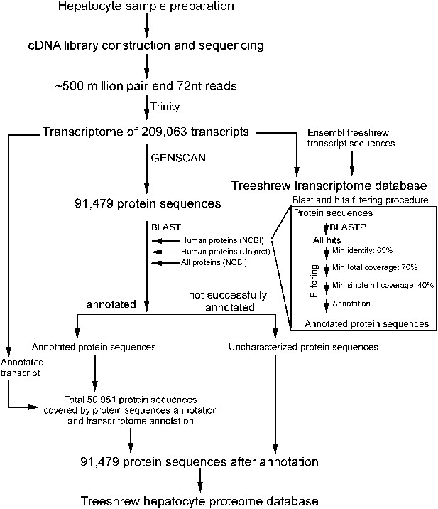 Figures and data in Sodium taurocholate cotransporting polypeptide is a ...