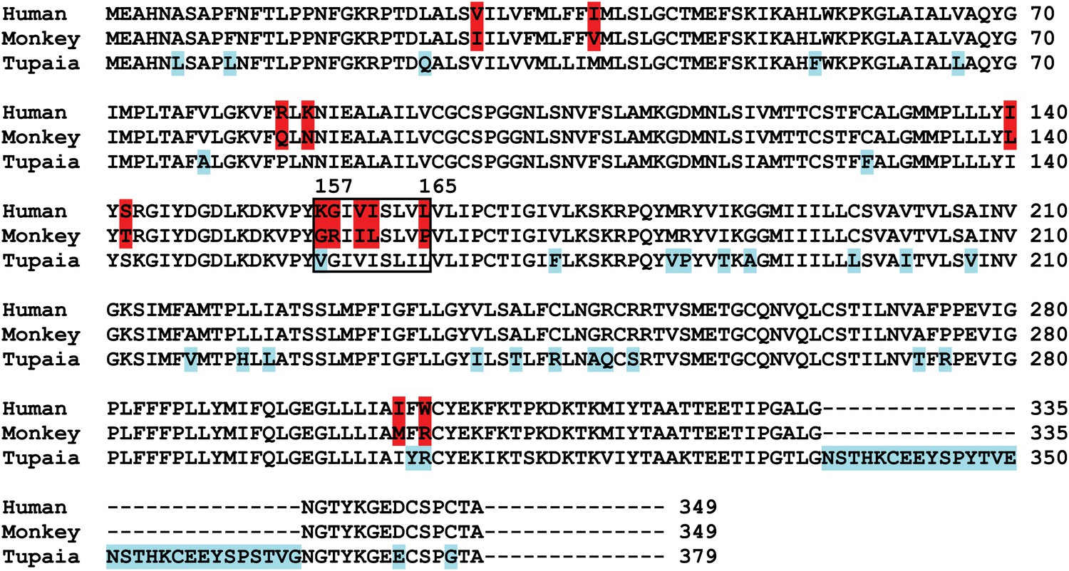 Figures and data in Sodium taurocholate cotransporting polypeptide is a ...